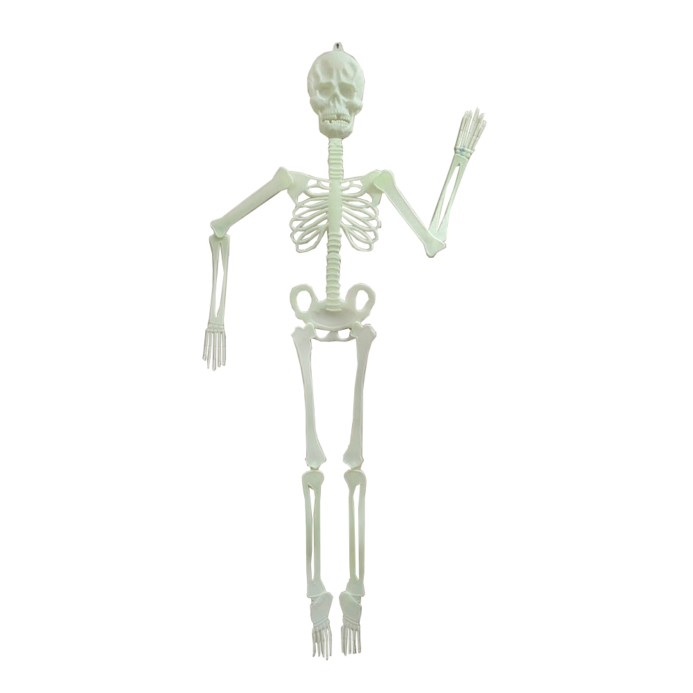 Glow in the Dark Skeleton Decoration