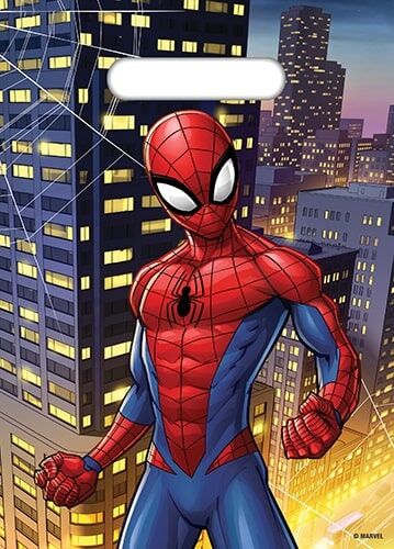 Spider-Man Plastic Party Loot Bags Pk 8