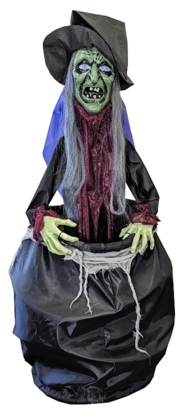 Animated Witch with Caludron