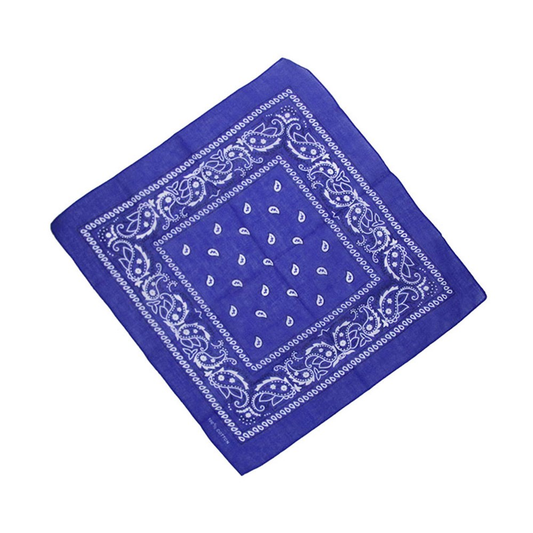 Blue Bandana
