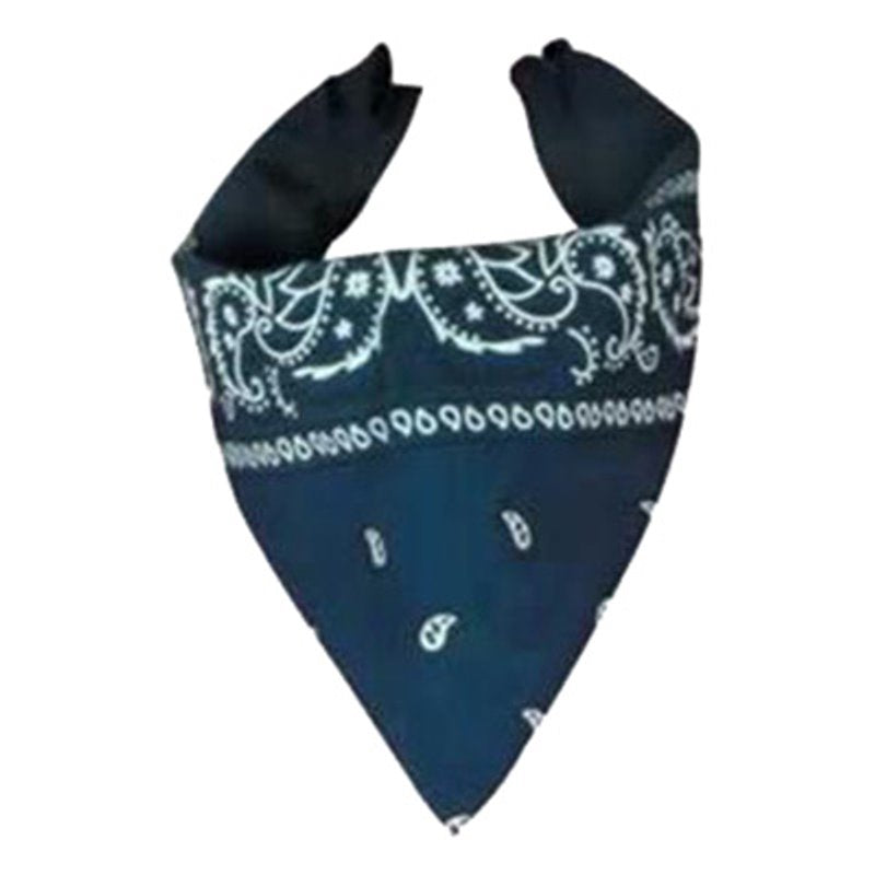 Blue Paisley Bandana