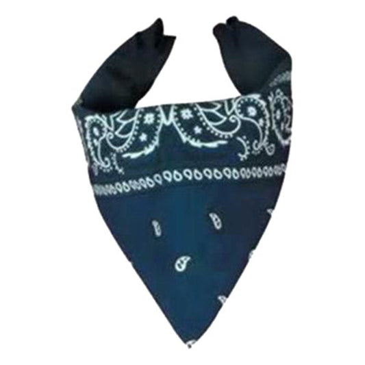 Blue Paisley Bandana