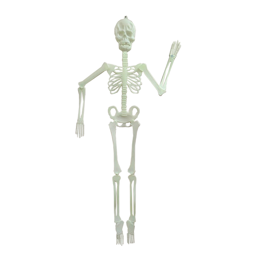 Glow in the Dark Skeleton Decoration