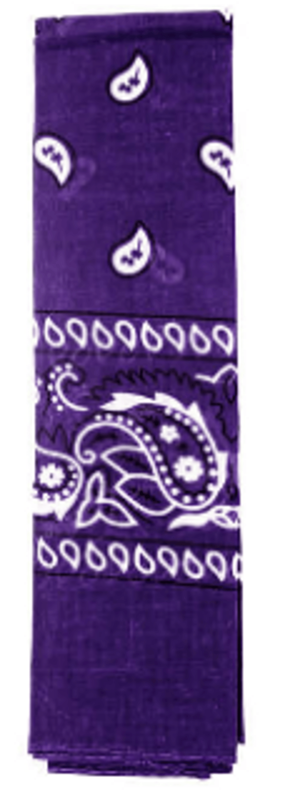 Paisley Bandana - Purple