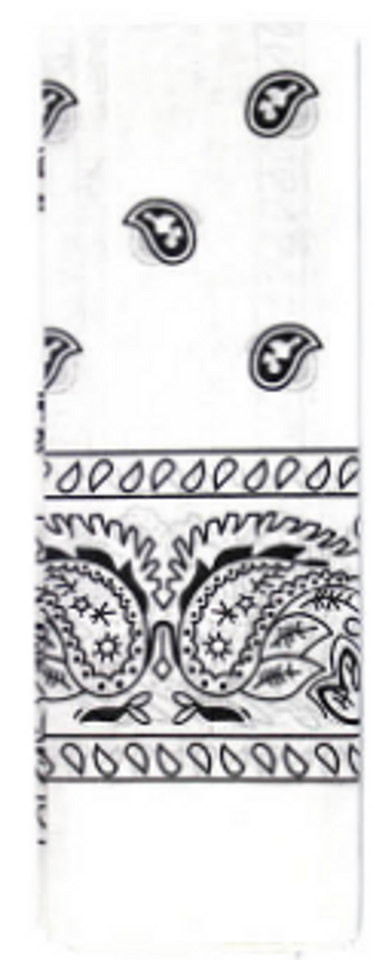 Paisley Bandana - White
