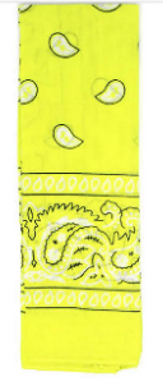 Paisley Bandana - Yellow